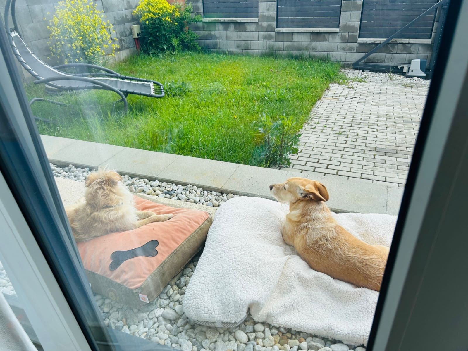 Prodej domu 100 m², pozemek 321 m², K Rondelu, Nová Ves pod Pleší, Středočeský kraj Prodej domu 100 m², pozemek 321 m², K Rondelu, Nová Ves pod Pleší, Středočeský kraj
