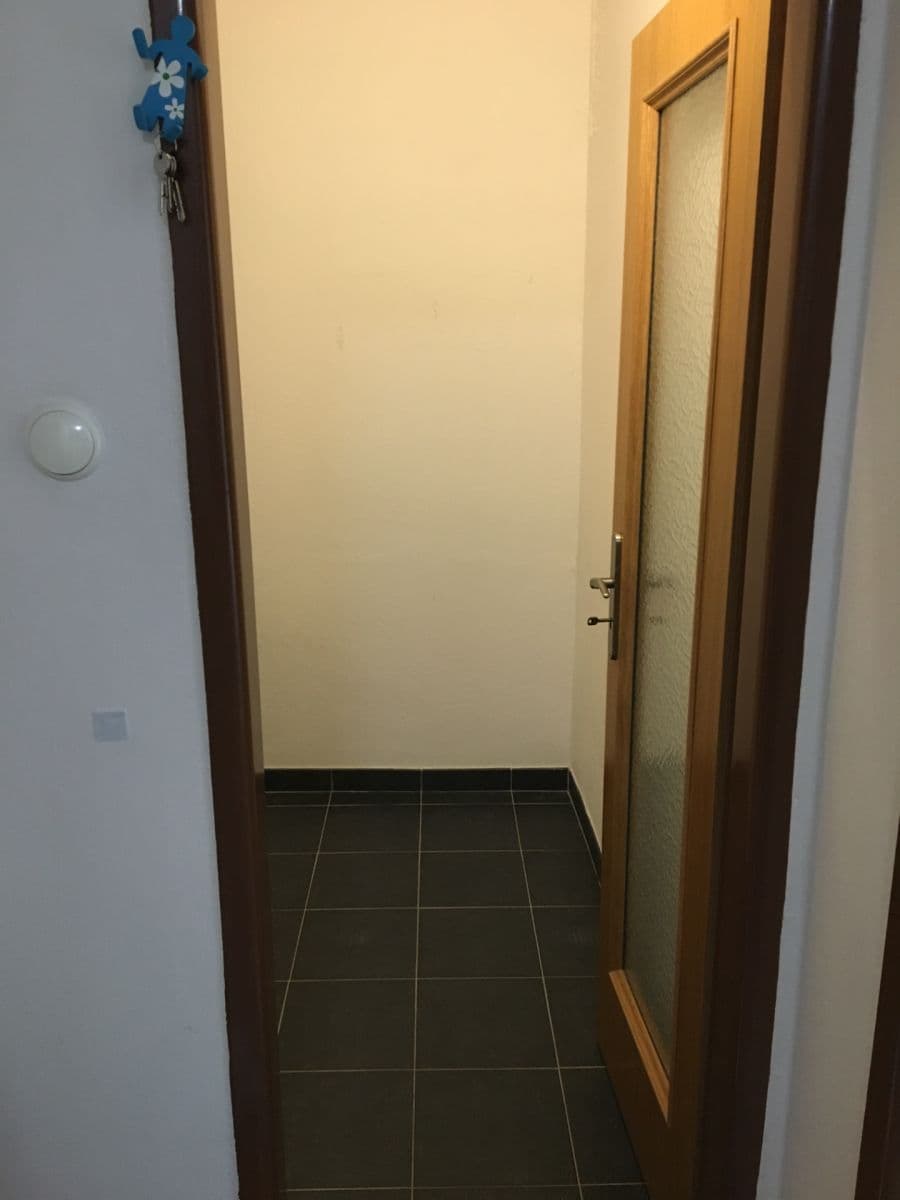 Pronájem bytu 2+1 53 m², Raisova, Plzeň, Plzeňský kraj Pronájem bytu 2+1 53 m², Raisova, Plzeň, Plzeňský kraj