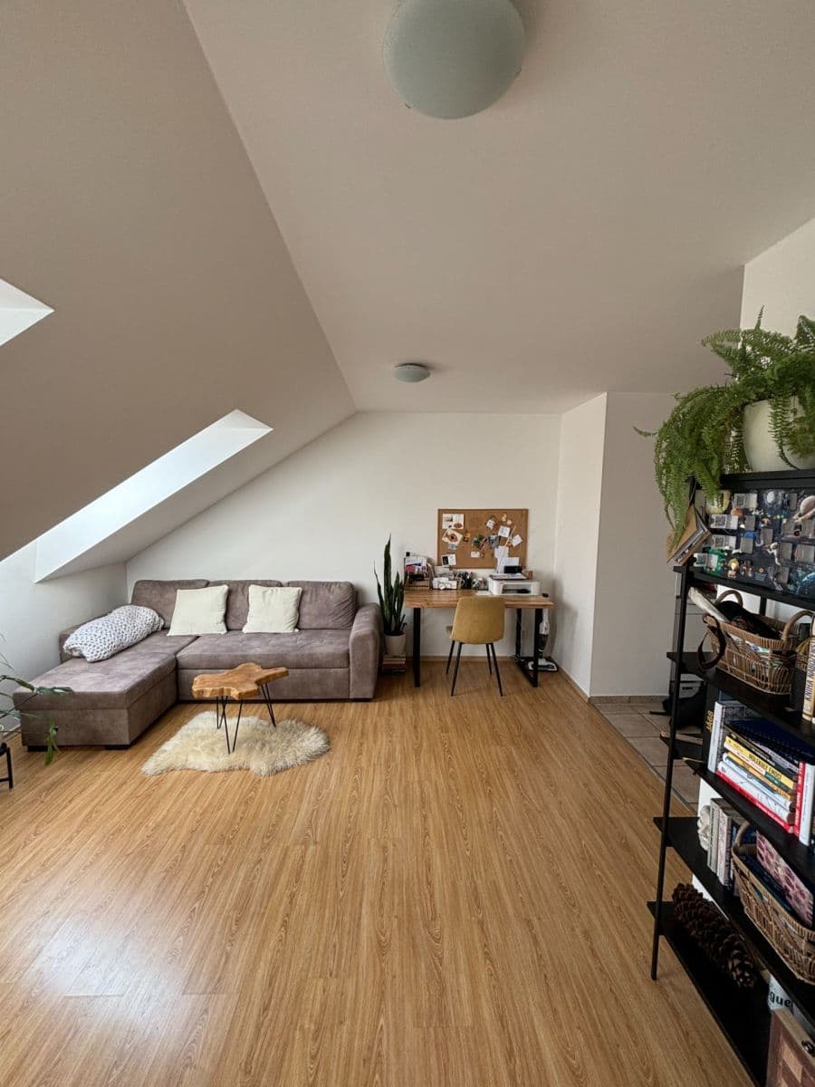 Pronájem bytu 2+1 47 m², Jeronýmova, Brno, Jihomoravský kraj Pronájem bytu 2+1 47 m², Jeronýmova, Brno, Jihomoravský kraj