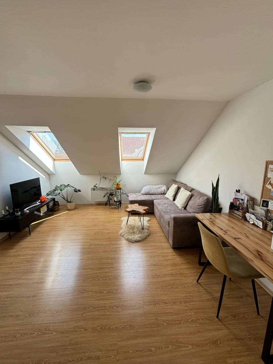 Pronájem bytu 2+1 47 m², Jeronýmova, Brno, Jihomoravský kraj Pronájem bytu 2+1 47 m², Jeronýmova, Brno, Jihomoravský kraj