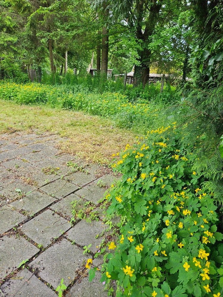 Prodej pozemku 600 m², Am Krebsbach 63 ( mittleres Grundstück ), Karlsfeld, Bavorsko Prodej pozemku 600 m², Am Krebsbach 63 ( mittleres Grundstück ), Karlsfeld, Bavorsko