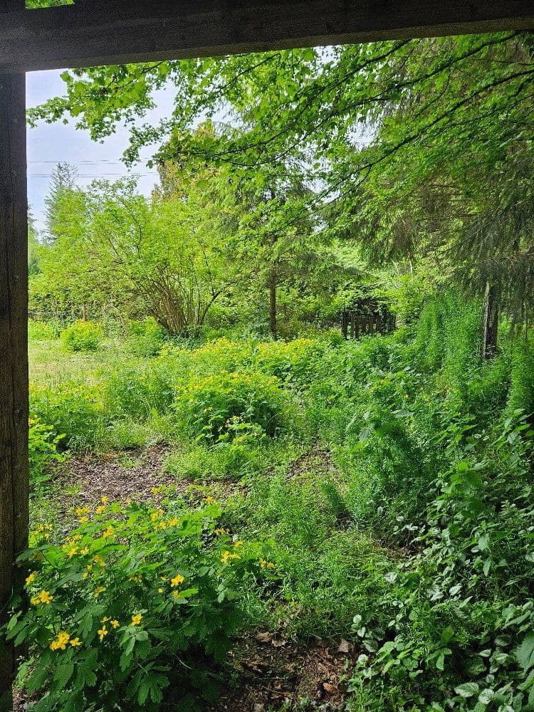 Prodej pozemku 600 m², Am Krebsbach 63 ( mittleres Grundstück ), Karlsfeld, Bavorsko Prodej pozemku 600 m², Am Krebsbach 63 ( mittleres Grundstück ), Karlsfeld, Bavorsko