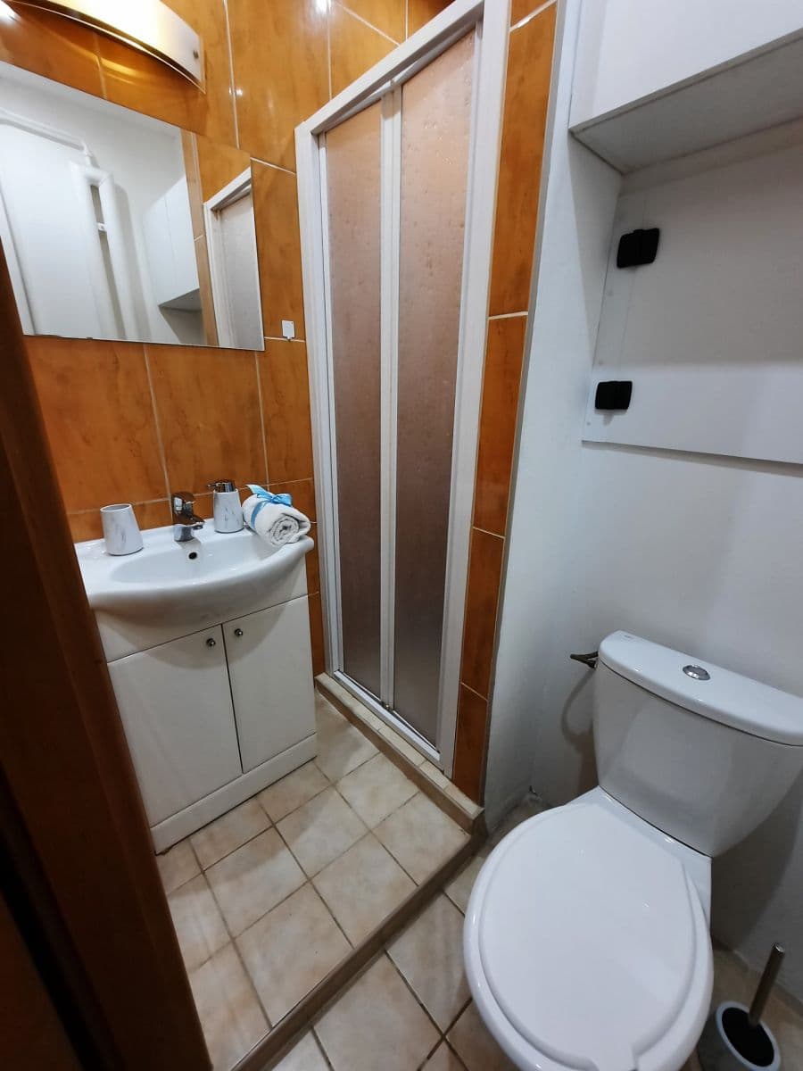 Pronájem bytu 1+kk 24 m², Halasovo náměstí, Brno, Jihomoravský kraj Pronájem bytu 1+kk 24 m², Halasovo náměstí, Brno, Jihomoravský kraj