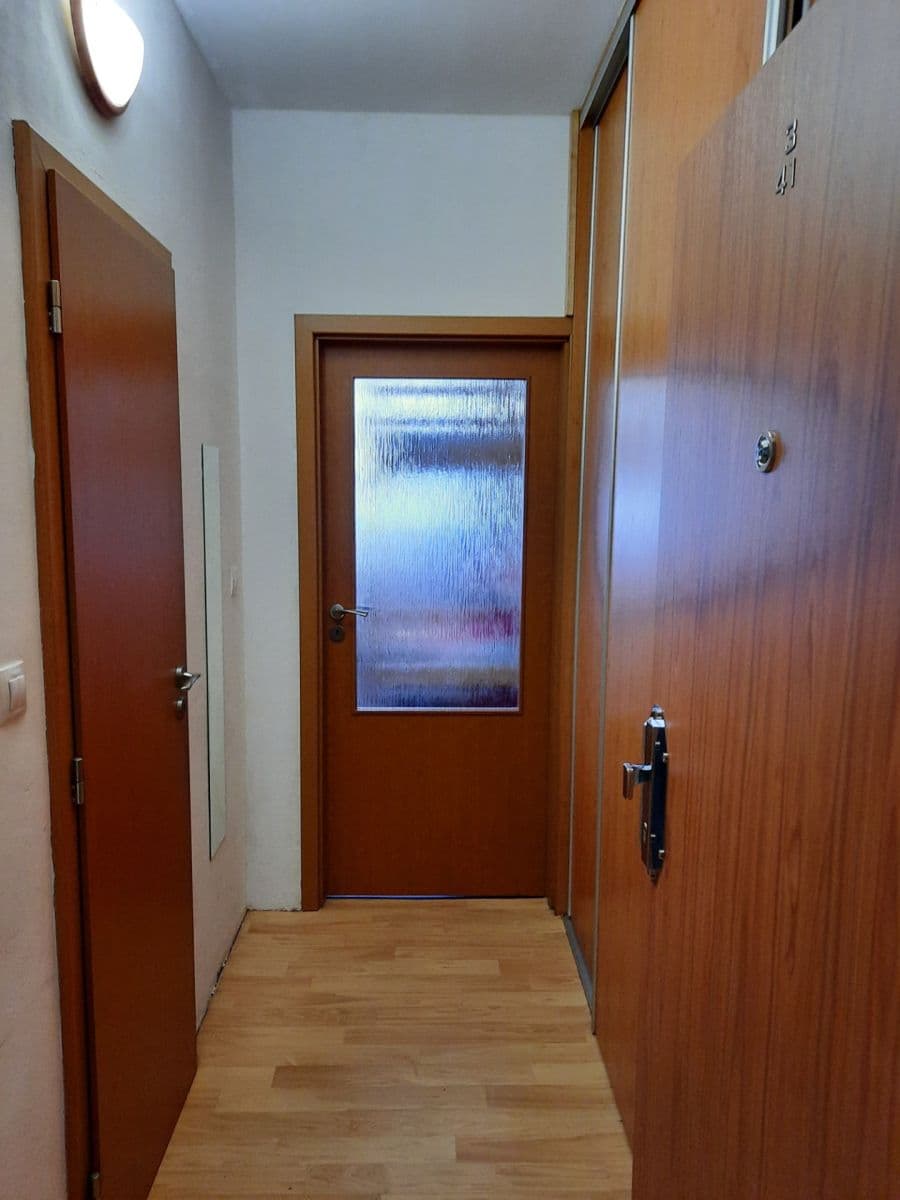 Pronájem bytu 1+kk 24 m², Halasovo náměstí, Brno, Jihomoravský kraj Pronájem bytu 1+kk 24 m², Halasovo náměstí, Brno, Jihomoravský kraj