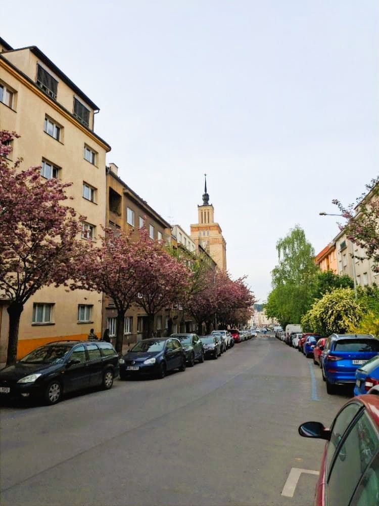 Prodej bytu 2+1 77 m², Koulova, Praha, Praha Prodej bytu 2+1 77 m², Koulova, Praha, Praha