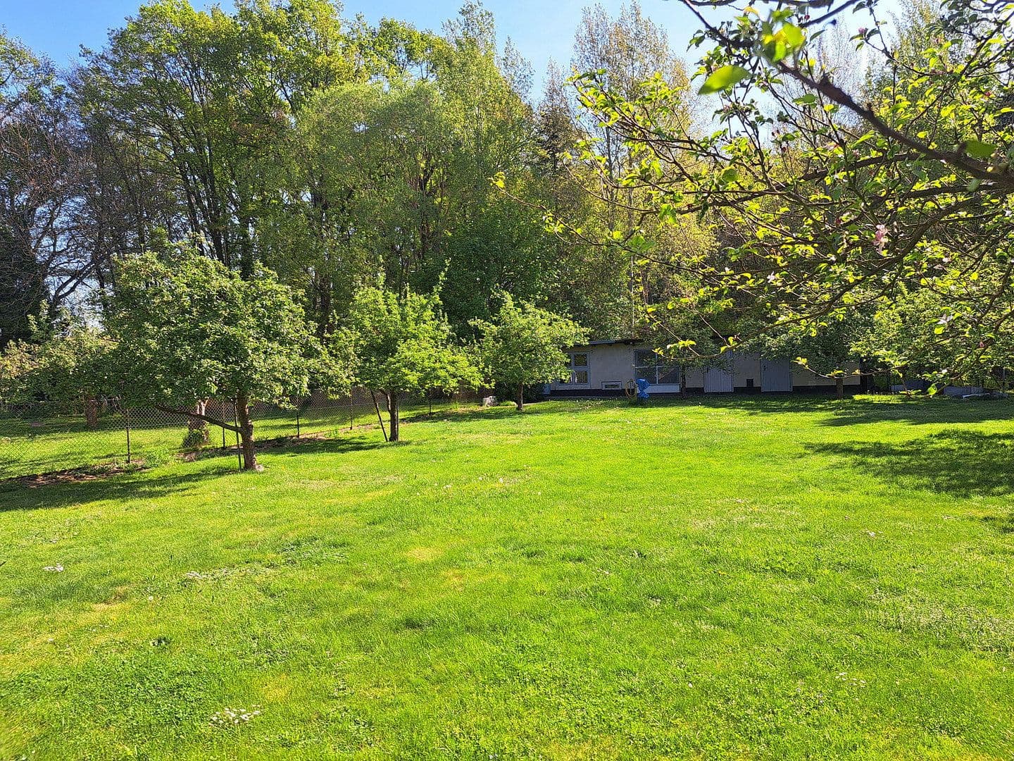 Prodej domu 103 m², pozemek 1.650 m², Spremberg, Braniborsko Prodej domu 103 m², pozemek 1.650 m², Spremberg, Braniborsko