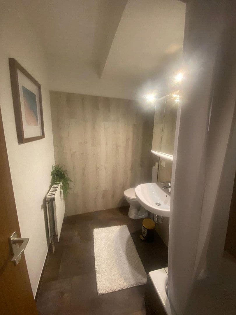 Pronájem bytu 1+1 40 m², Kurfürstenanlage 61, Heidelberg, Bádensko-Württembersko Pronájem bytu 1+1 40 m², Kurfürstenanlage 61, Heidelberg, Bádensko-Württembersko