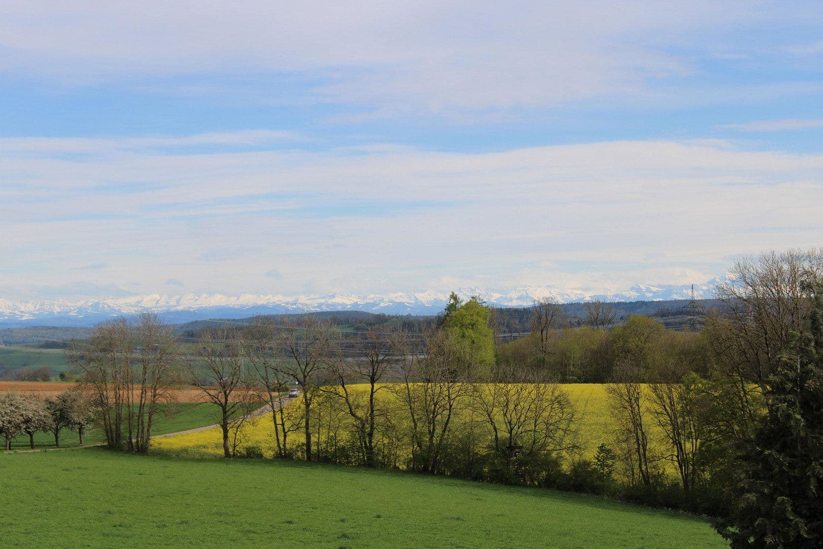 Prodej domu 270 m², pozemek 9.241 m², Stühlingen, Bádensko-Württembersko Prodej domu 270 m², pozemek 9.241 m², Stühlingen, Bádensko-Württembersko