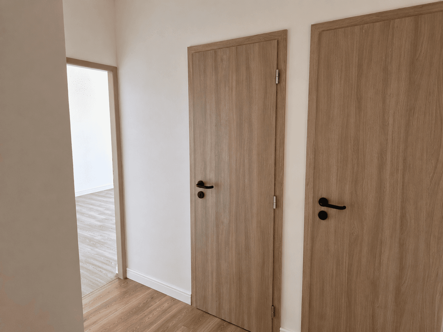 Pronájem bytu 2+1 48 m², Aléská, Bílina, Ústecký kraj Pronájem bytu 2+1 48 m², Aléská, Bílina, Ústecký kraj