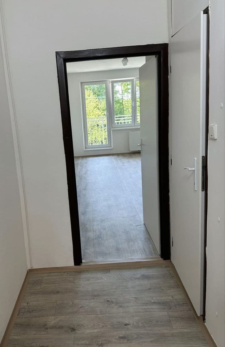 Pronájem bytu 1+kk 31 m², Petruškova, Ostrava, Moravskoslezský kraj Pronájem bytu 1+kk 31 m², Petruškova, Ostrava, Moravskoslezský kraj