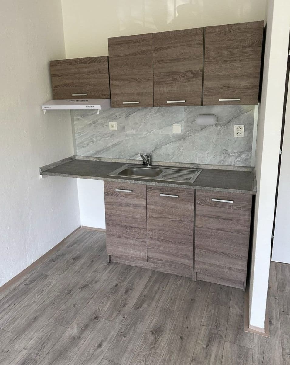 Pronájem bytu 1+kk 31 m², Petruškova, Ostrava, Moravskoslezský kraj Pronájem bytu 1+kk 31 m², Petruškova, Ostrava, Moravskoslezský kraj