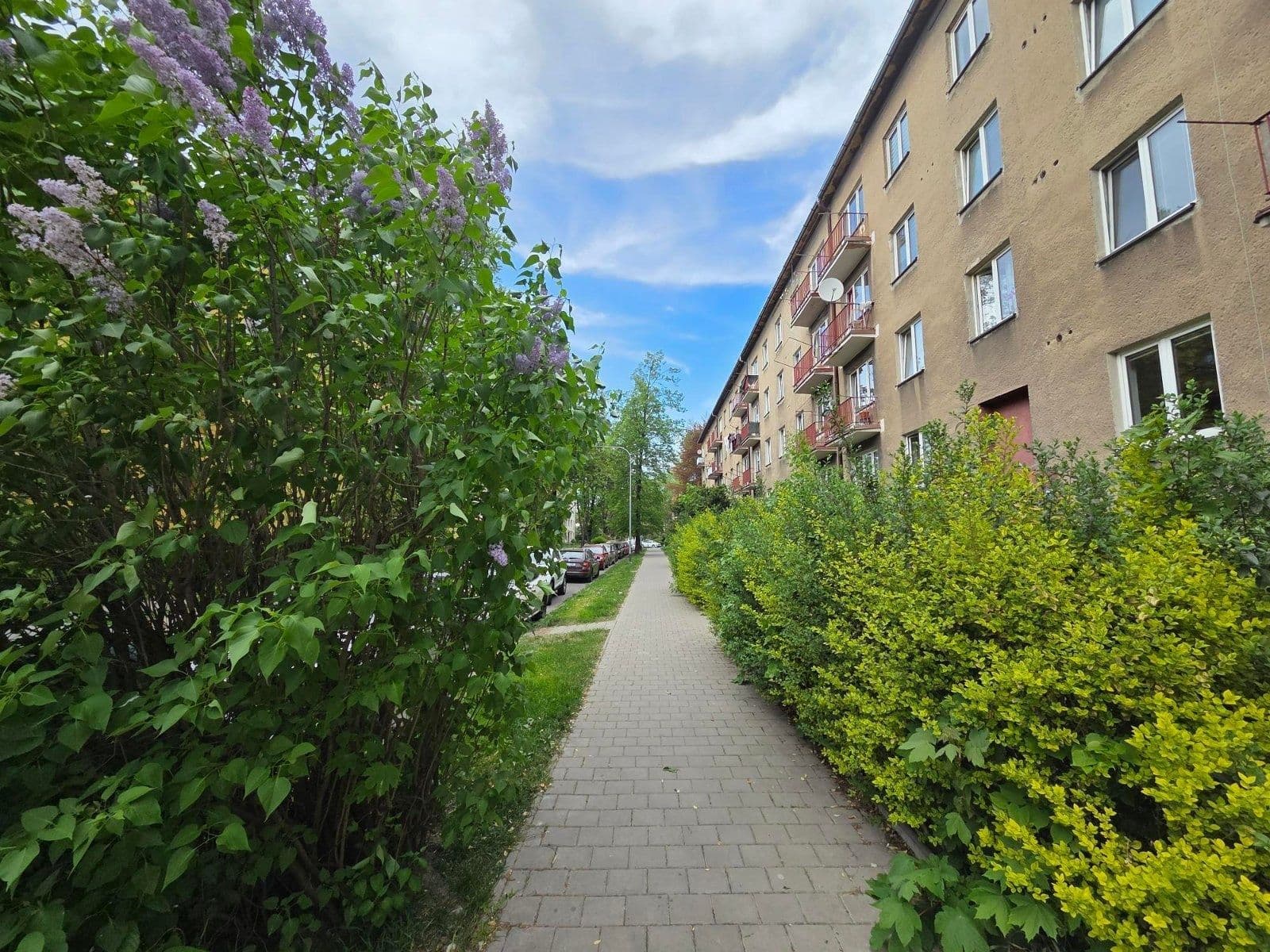 Pronájem bytu 1+kk 21 m², Nedbalova, Karviná, Moravskoslezský kraj Pronájem bytu 1+kk 21 m², Nedbalova, Karviná, Moravskoslezský kraj