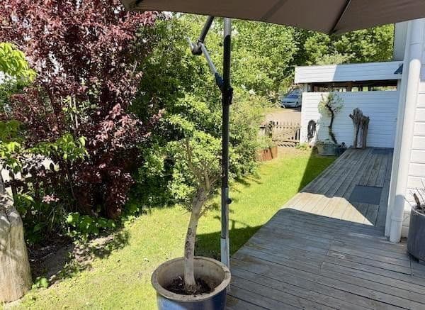 Prodej domu 144 m², pozemek 398 m², Gerolsbach, Bavorsko Prodej domu 144 m², pozemek 398 m², Gerolsbach, Bavorsko