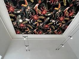 Pronájem kanceláře 50 m², Adalbertsteinweg 205, Cáchy, Severní Porýní-Vestfálsko Pronájem kanceláře 50 m², Adalbertsteinweg 205, Cáchy, Severní Porýní-Vestfálsko