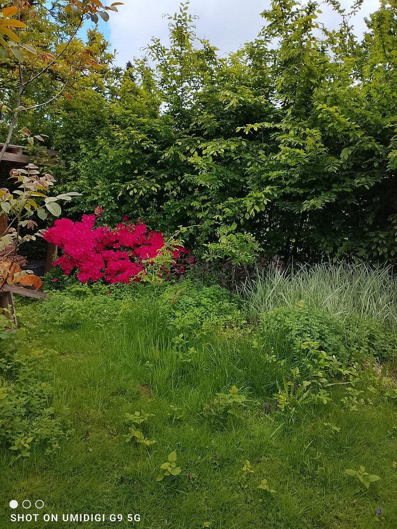 Prodej domu 124 m², pozemek 667 m², Neunkirchen-Seelscheid, Severní Porýní-Vestfálsko Prodej domu 124 m², pozemek 667 m², Neunkirchen-Seelscheid, Severní Porýní-Vestfálsko
