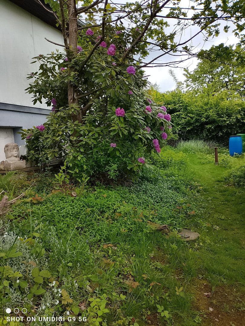 Prodej domu 124 m², pozemek 667 m², Neunkirchen-Seelscheid, Severní Porýní-Vestfálsko Prodej domu 124 m², pozemek 667 m², Neunkirchen-Seelscheid, Severní Porýní-Vestfálsko