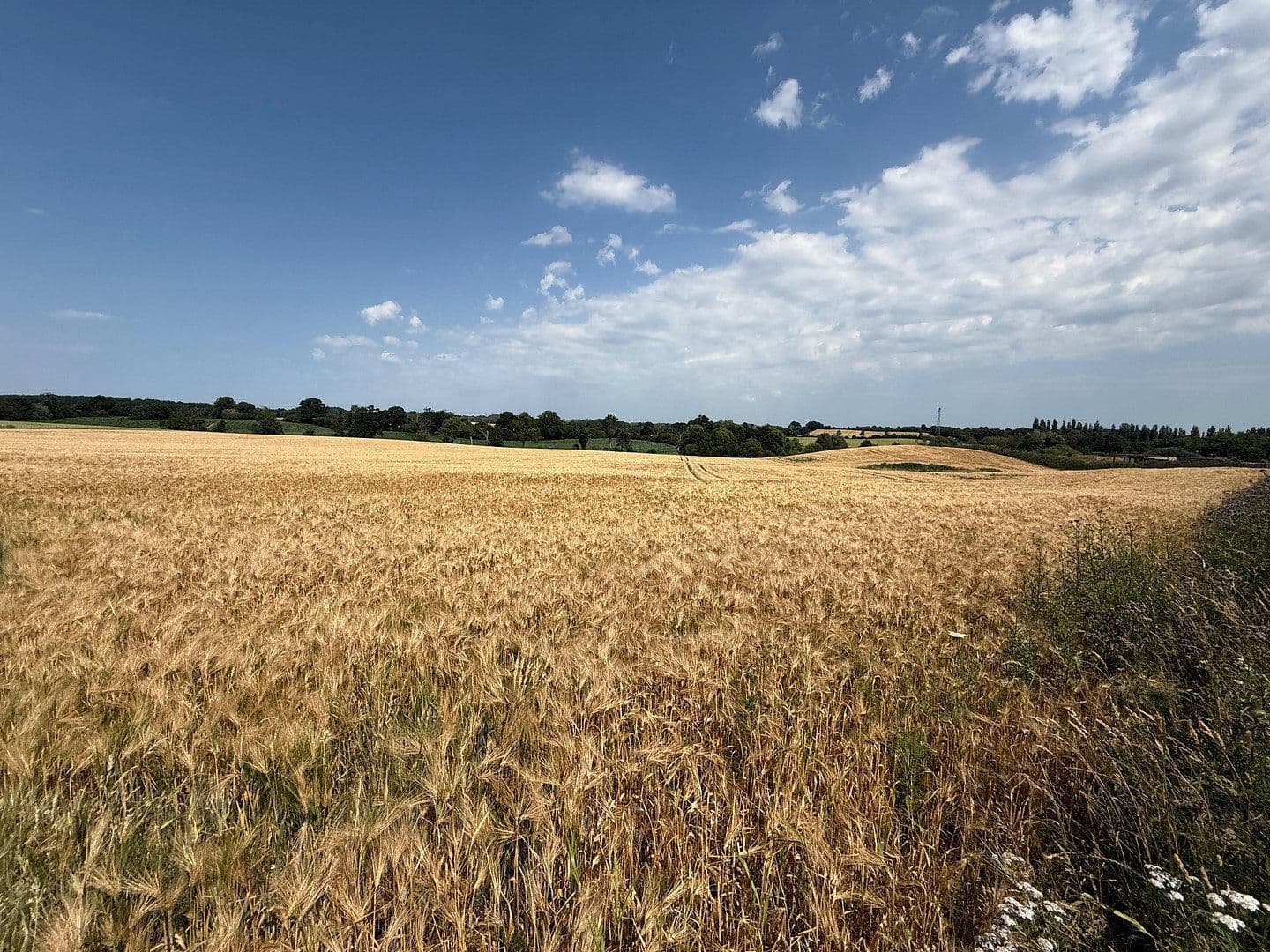 Prodej domu 281 m², pozemek 539 m², Ascheberg, Šlesvicko-Holštýnsko Prodej domu 281 m², pozemek 539 m², Ascheberg, Šlesvicko-Holštýnsko