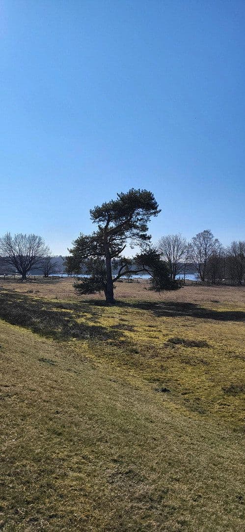 Prodej domu 72 m², pozemek 322 m², Garrel, Dolní Sasko Prodej domu 72 m², pozemek 322 m², Garrel, Dolní Sasko