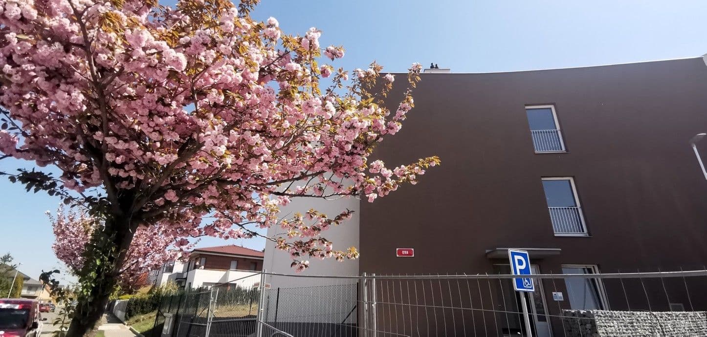 Pronájem bytu 2+kk 51 m², Pod Areálem, Praha, Praha Pronájem bytu 2+kk 51 m², Pod Areálem, Praha, Praha