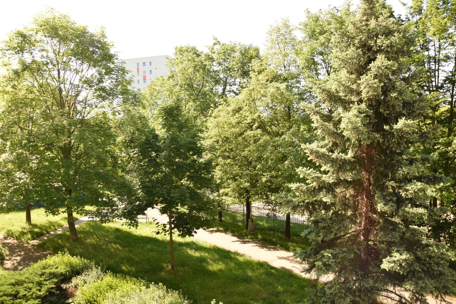 Pronájem bytu 3+kk 80 m², Daškova, Praha, Praha Pronájem bytu 3+kk 80 m², Daškova, Praha, Praha