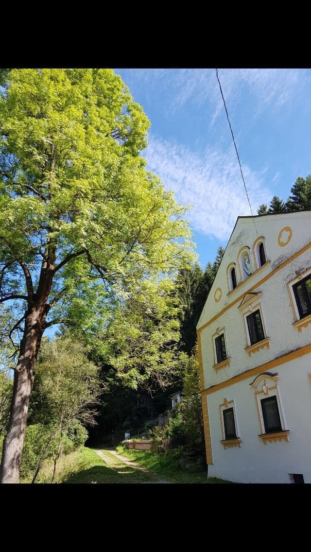 Prodej chaty, chalupy 157 m², pozemek 1.020 m², Rožmitál na Šumavě, Jihočeský kraj Prodej chaty, chalupy 157 m², pozemek 1.020 m², Rožmitál na Šumavě, Jihočeský kraj