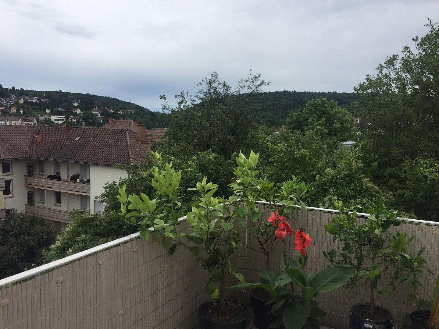 Pronájem domu 128 m², pozemek 550 m², Friedenstrasse 11, Pforzheim, Bádensko-Württembersko Pronájem domu 128 m², pozemek 550 m², Friedenstrasse 11, Pforzheim, Bádensko-Württembersko