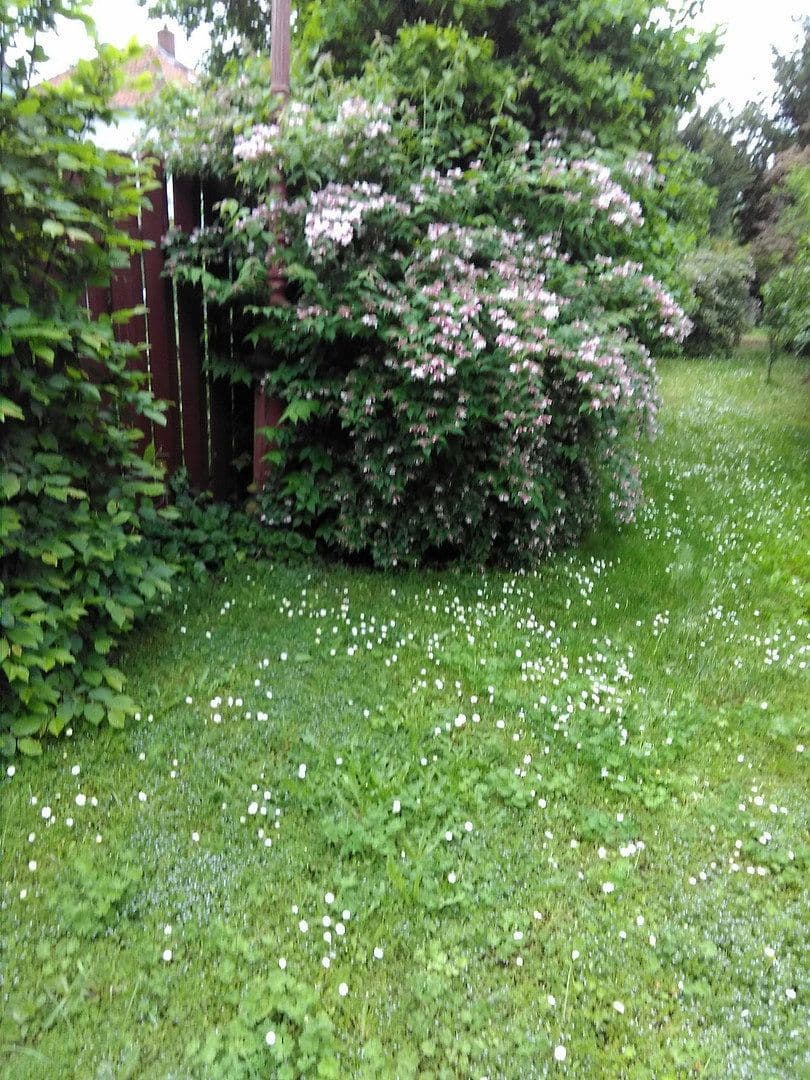 Prodej domu 150 m², pozemek 580 m², Worms, Porýní-Falc Prodej domu 150 m², pozemek 580 m², Worms, Porýní-Falc