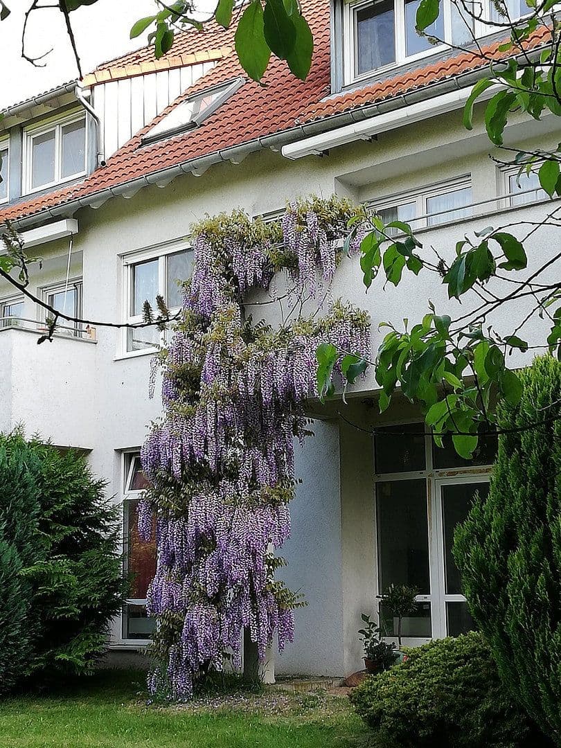 Prodej bytu 6+1 130 m², Žitava, Sasko Prodej bytu 6+1 130 m², Žitava, Sasko