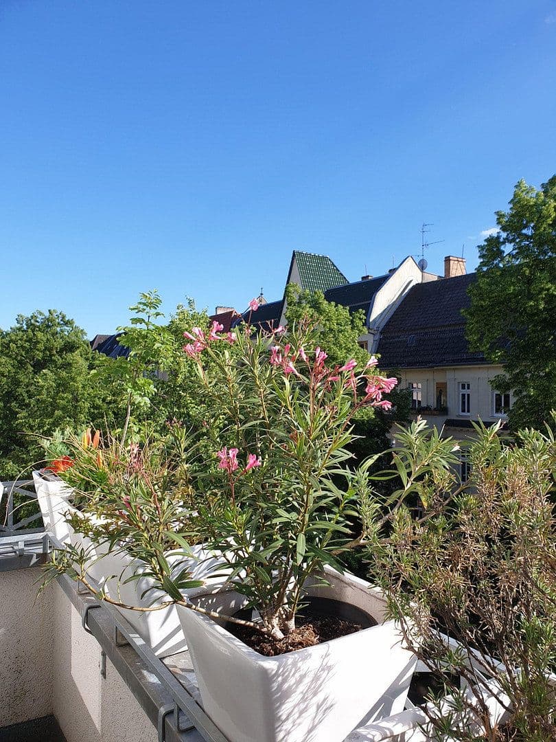 Prodej bytu 5+1 116 m², Scheiblerstr., Berlin, Berlín Prodej bytu 5+1 116 m², Scheiblerstr., Berlin, Berlín