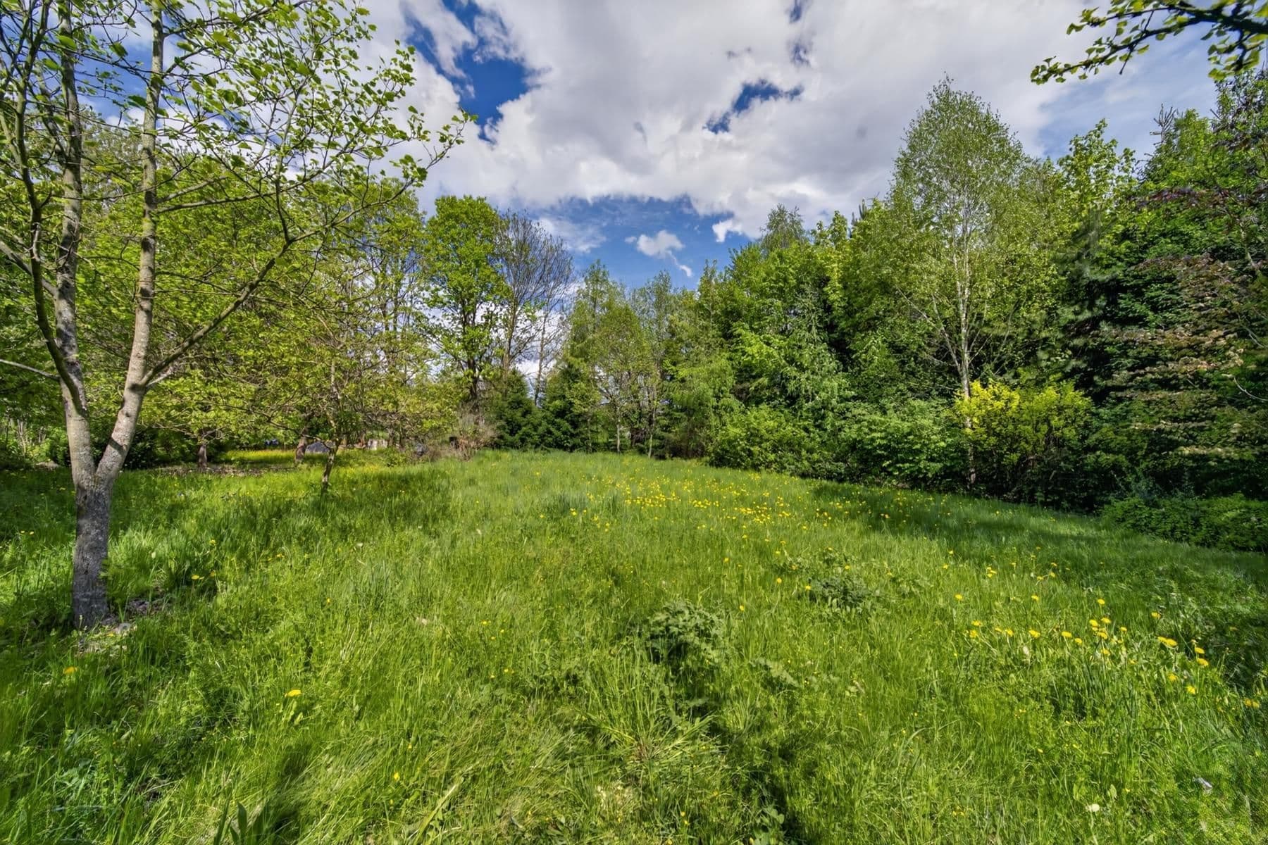 Prodej domu 278 m², pozemek 535 m², Bor, Plzeňský kraj Prodej domu 278 m², pozemek 535 m², Bor, Plzeňský kraj