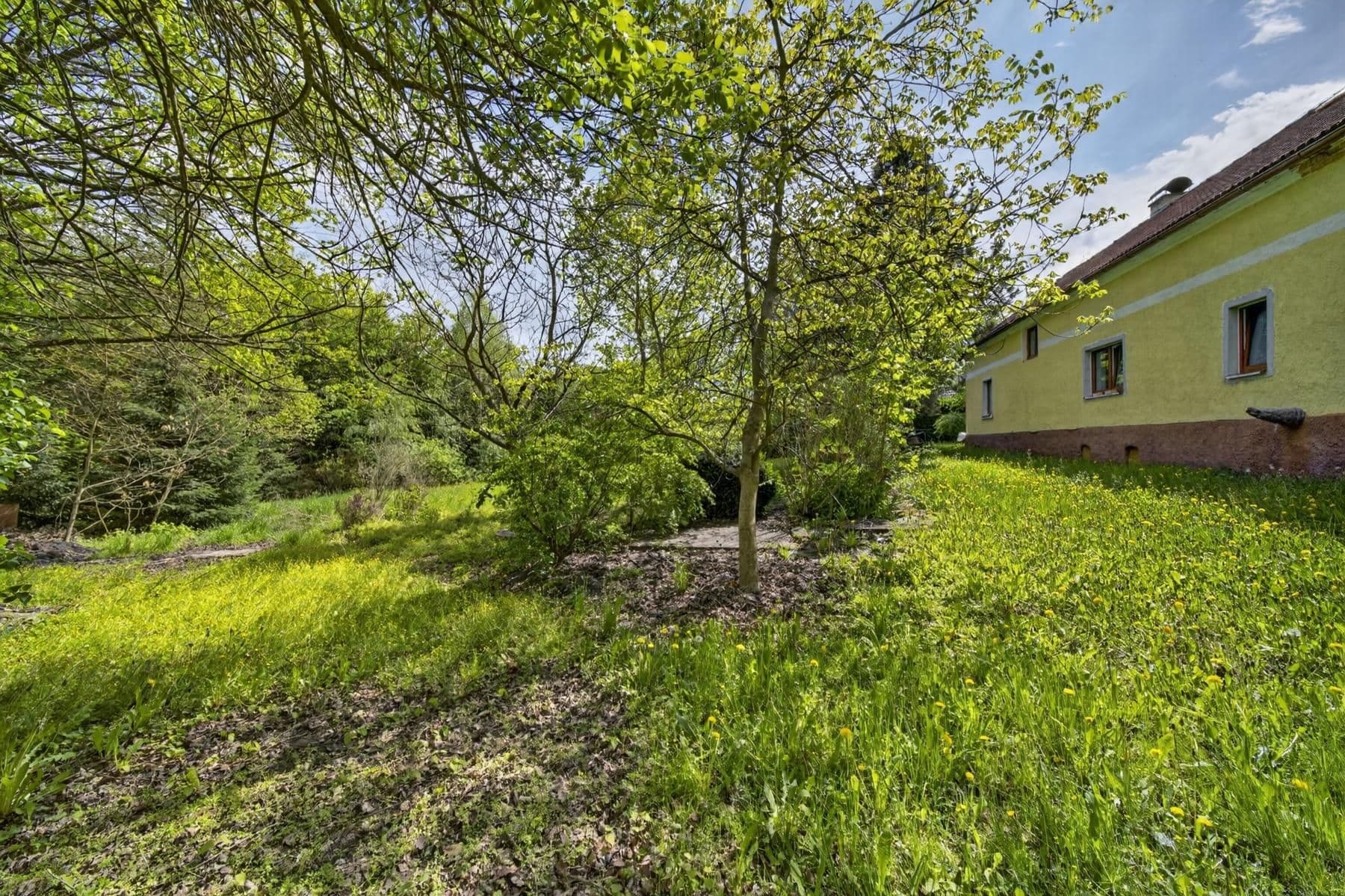 Prodej domu 278 m², pozemek 535 m², Bor, Plzeňský kraj Prodej domu 278 m², pozemek 535 m², Bor, Plzeňský kraj