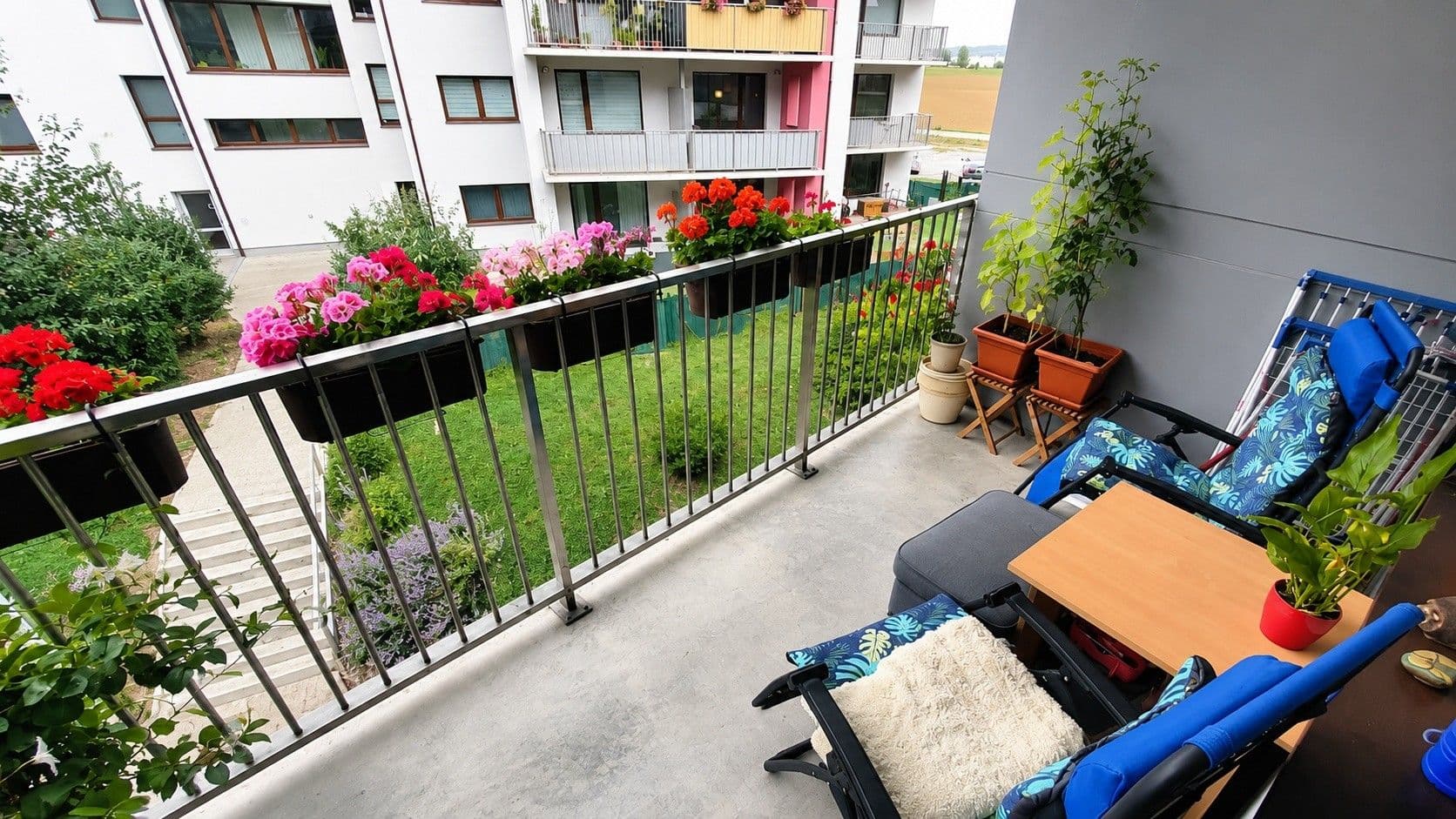 Prodej bytu 2+kk 50 m², Višňová, Moravany, Jihomoravský kraj Prodej bytu 2+kk 50 m², Višňová, Moravany, Jihomoravský kraj