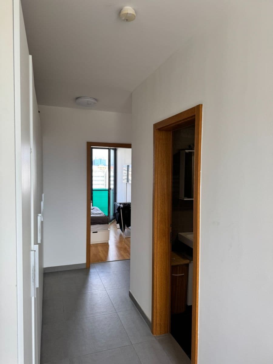 Pronájem bytu 3+kk 85 m², Argentinská, Praha, Praha Pronájem bytu 3+kk 85 m², Argentinská, Praha, Praha