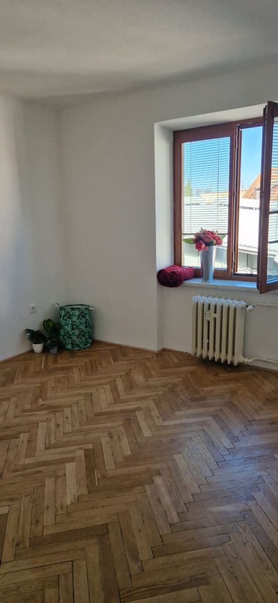 Prodej bytu 2+1 58 m², Otakarova, České Budějovice, Jihočeský kraj Prodej bytu 2+1 58 m², Otakarova, České Budějovice, Jihočeský kraj