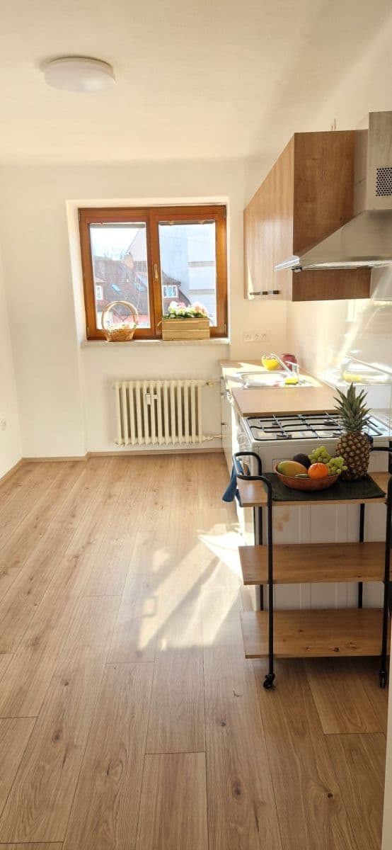 Prodej bytu 2+1 58 m², Otakarova, České Budějovice, Jihočeský kraj Prodej bytu 2+1 58 m², Otakarova, České Budějovice, Jihočeský kraj