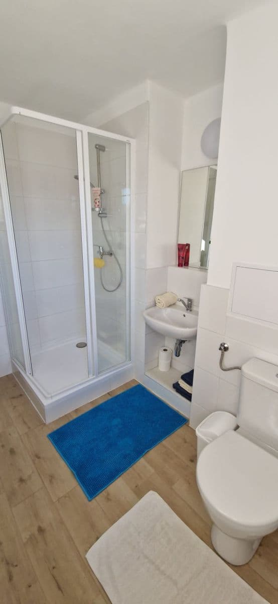Prodej bytu 2+1 58 m², Otakarova, České Budějovice, Jihočeský kraj Prodej bytu 2+1 58 m², Otakarova, České Budějovice, Jihočeský kraj