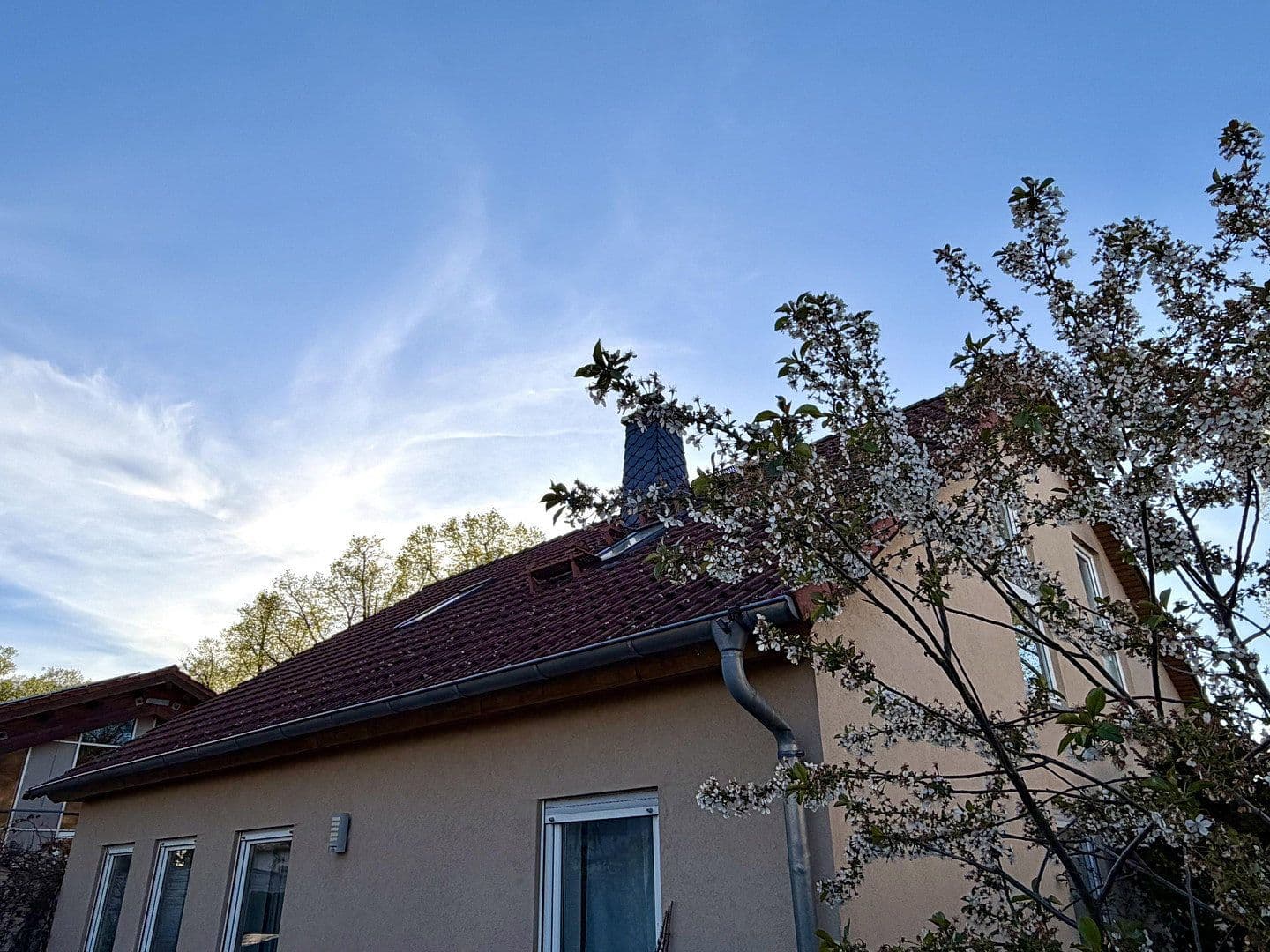 Prodej domu 133 m², pozemek 480 m², Schönefeld, Braniborsko Prodej domu 133 m², pozemek 480 m², Schönefeld, Braniborsko