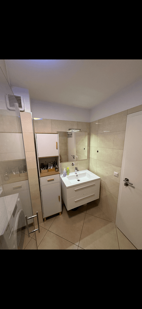 Prodej bytu 4+1 93 m², Lörrach, Bádensko-Württembersko Prodej bytu 4+1 93 m², Lörrach, Bádensko-Württembersko