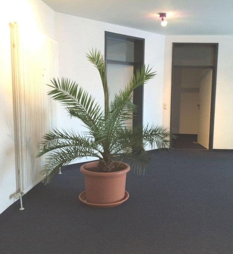 Pronájem kanceláře 24 m², Badstraße 24a, Offenburg, Bádensko-Württembersko Pronájem kanceláře 24 m², Badstraße 24a, Offenburg, Bádensko-Württembersko