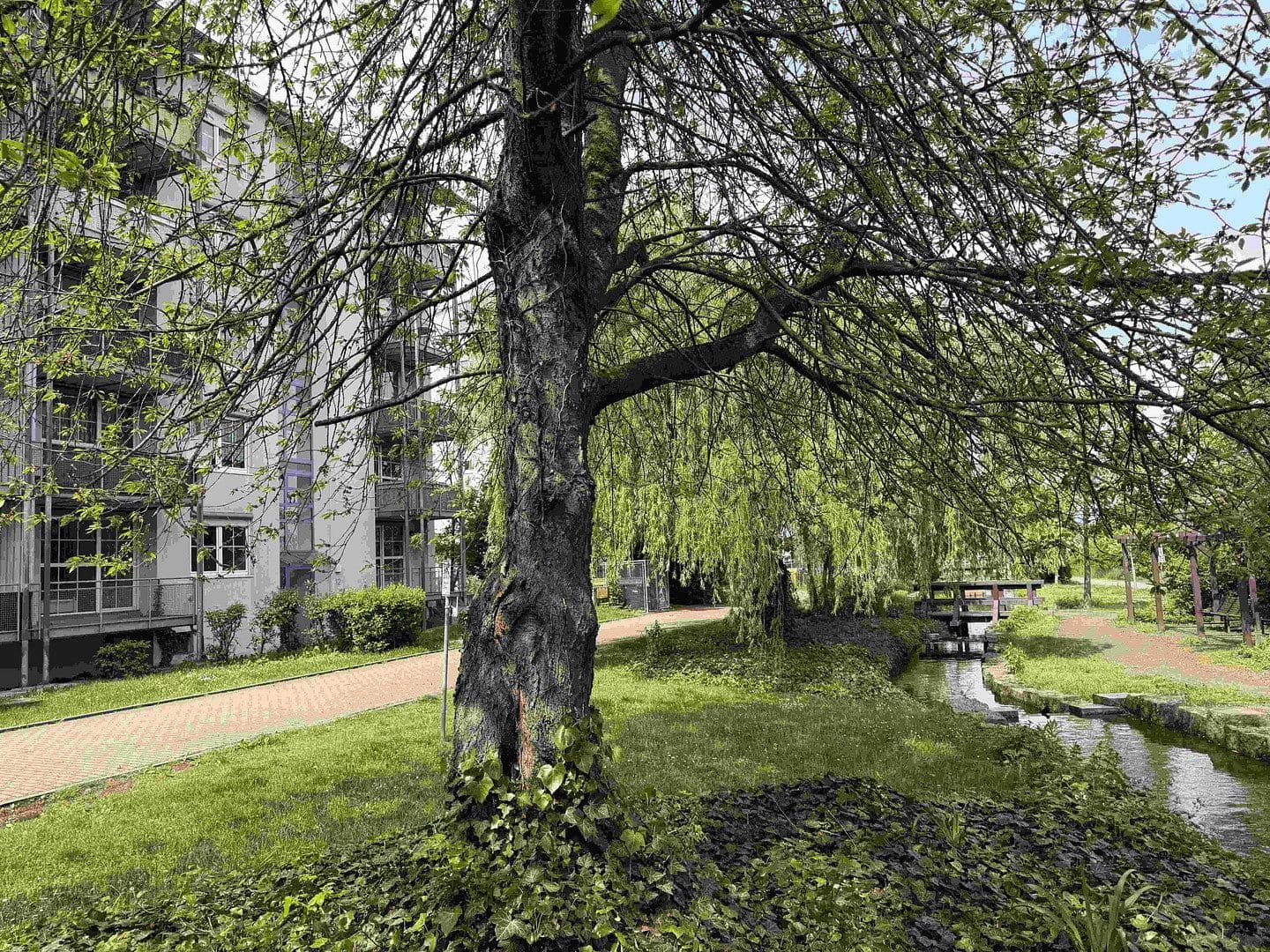 Pronájem bytu 3+1 72 m², Am Rebstock 12, Kabelsketal, Sasko-Anhaltsko Pronájem bytu 3+1 72 m², Am Rebstock 12, Kabelsketal, Sasko-Anhaltsko