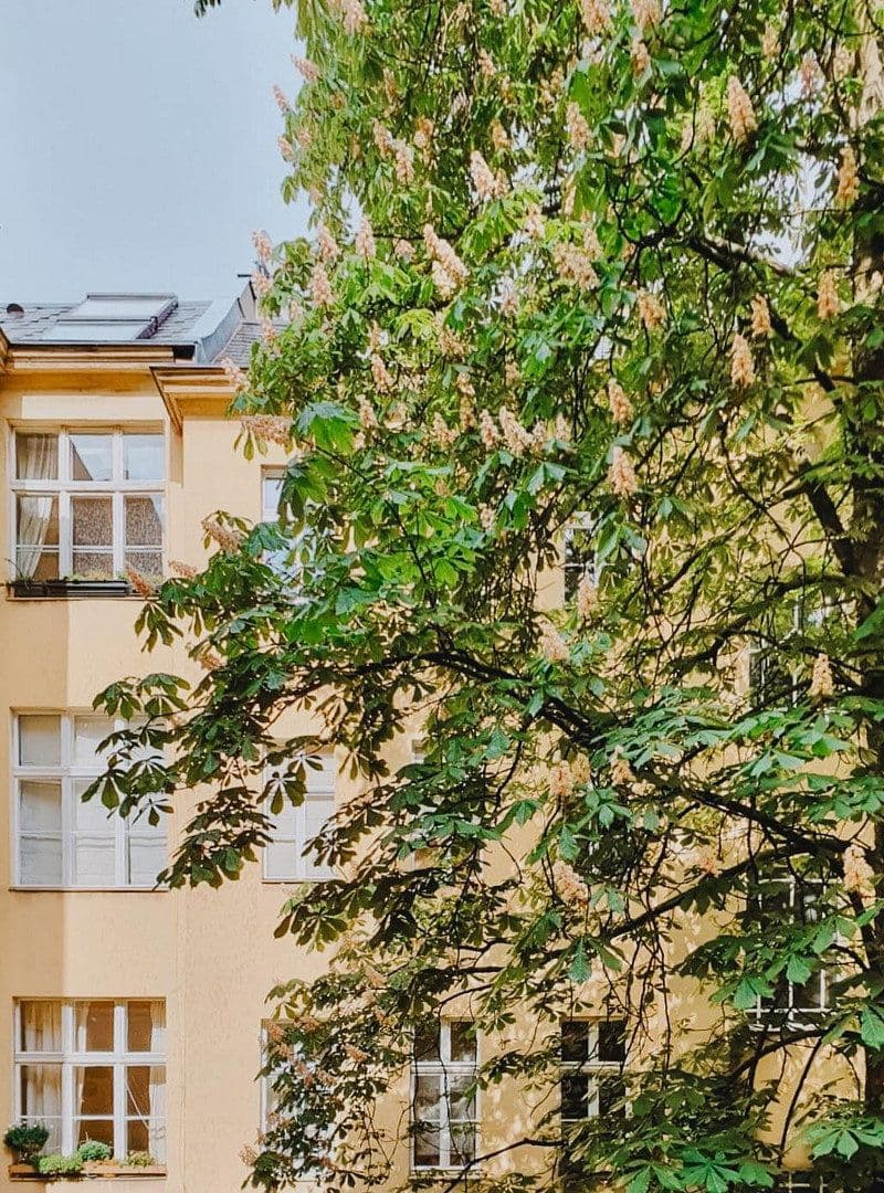 Prodej bytu 2+1 70 m², Berlin, Berlín Prodej bytu 2+1 70 m², Berlin, Berlín