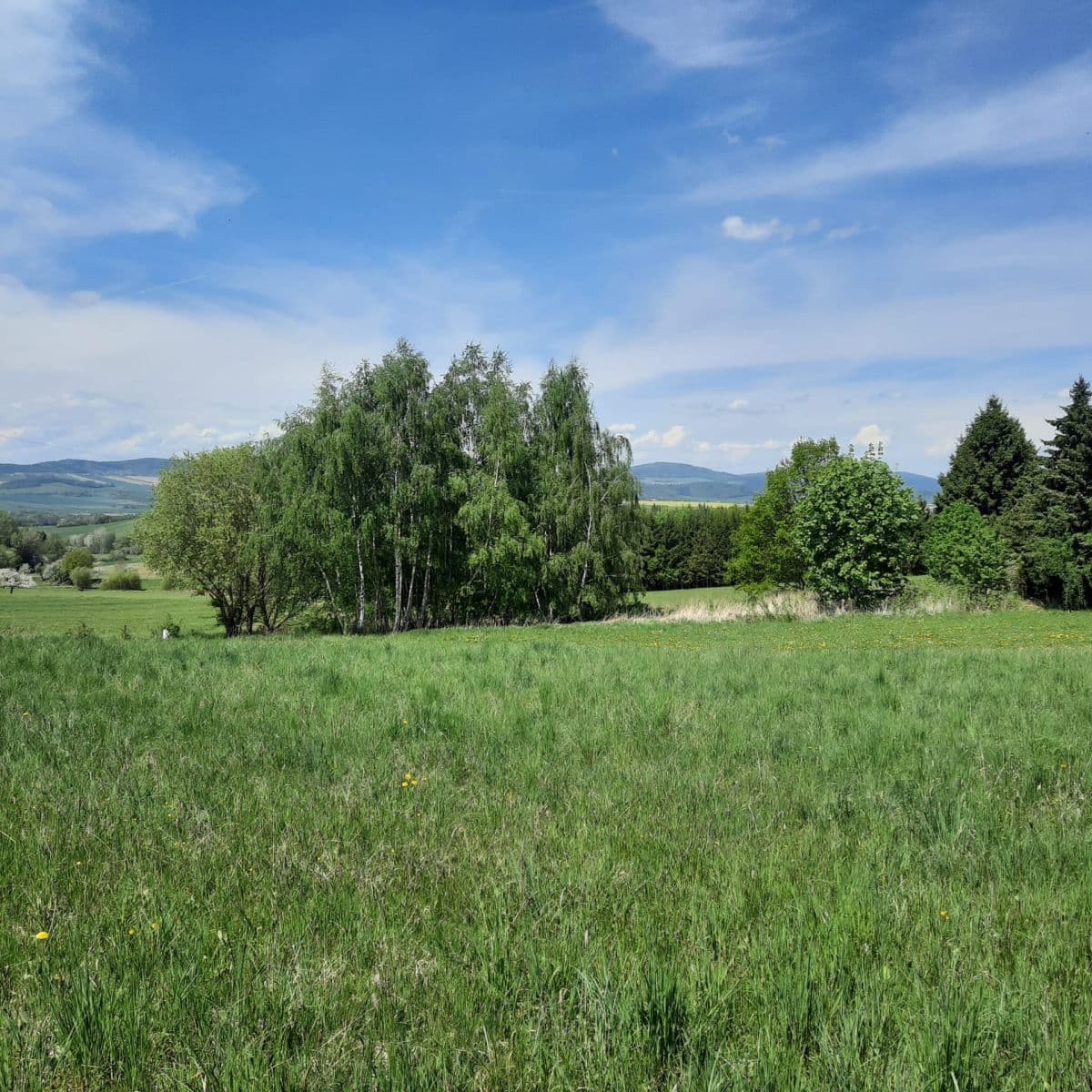 Prodej pozemku 1.380 m², Týnec, Plzeňský kraj Prodej pozemku 1.380 m², Týnec, Plzeňský kraj