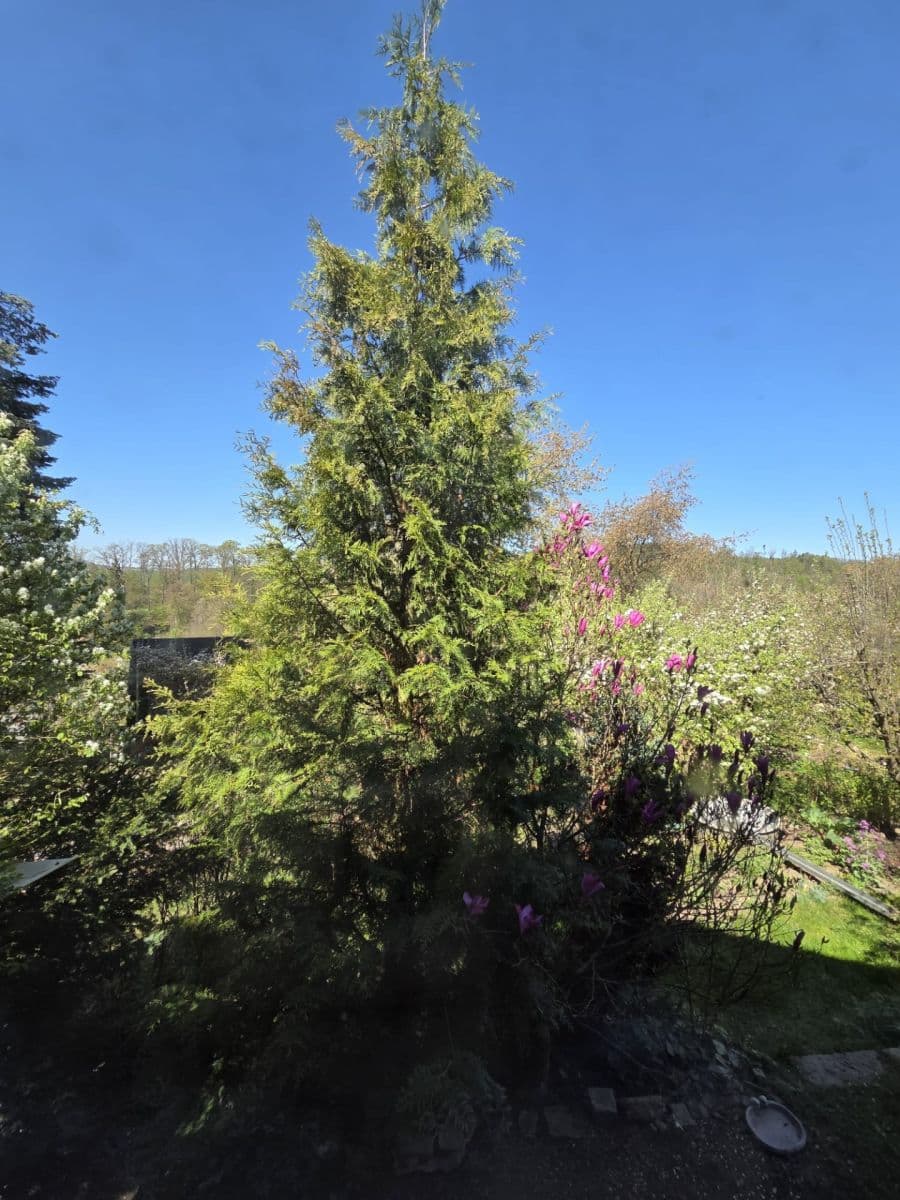 Prodej chaty, chalupy 16 m², pozemek 360 m², U Martínka, Písek, Jihočeský kraj Prodej chaty, chalupy 16 m², pozemek 360 m², U Martínka, Písek, Jihočeský kraj
