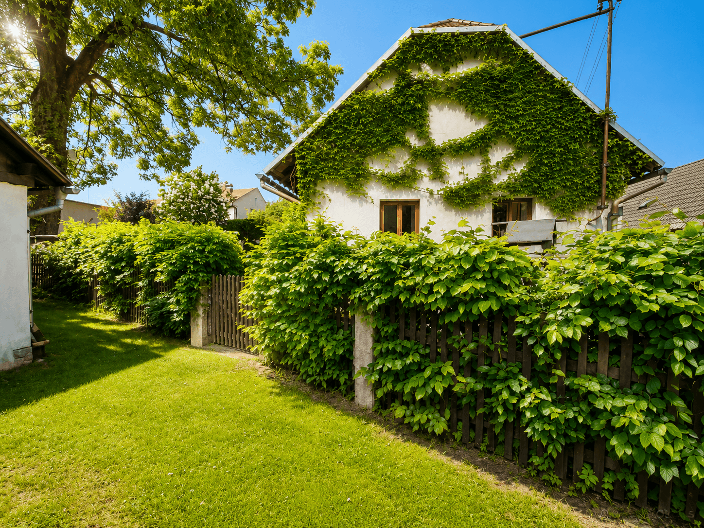 Prodej domu 100 m², pozemek 736 m², Chotěboř, Kraj Vysočina Prodej domu 100 m², pozemek 736 m², Chotěboř, Kraj Vysočina