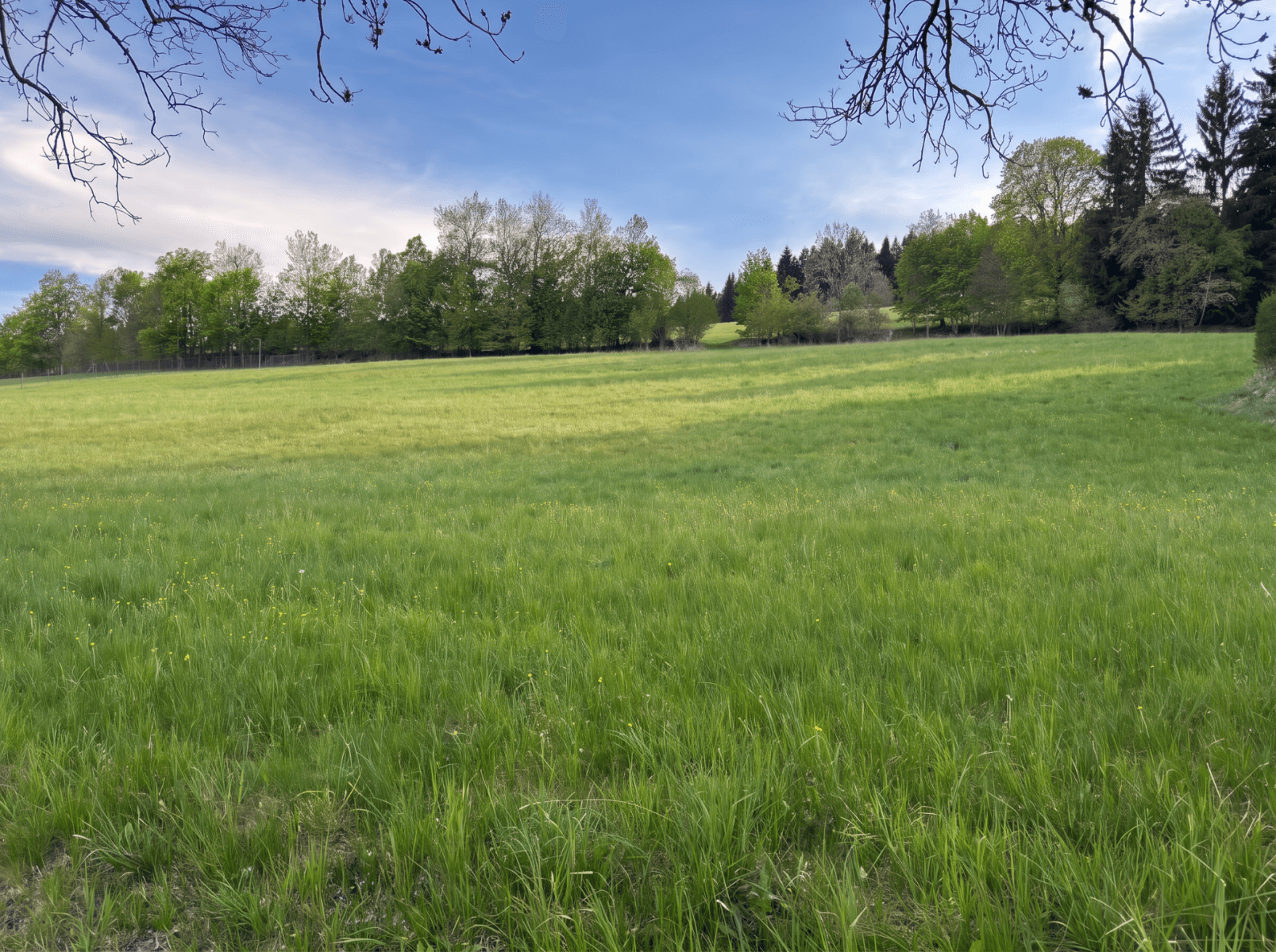 Prodej pozemku 2.138 m², Stachy, Jihočeský kraj Prodej pozemku 2.138 m², Stachy, Jihočeský kraj