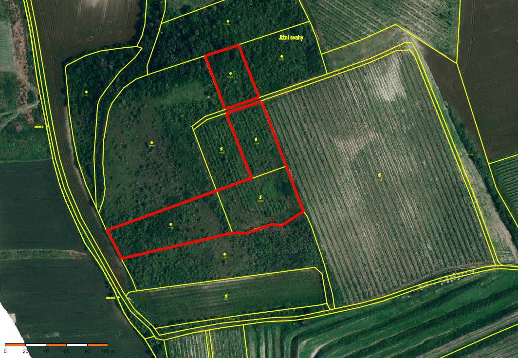 Prodej pozemku 11.975 m², Valtice, Jihomoravský kraj Prodej pozemku 11.975 m², Valtice, Jihomoravský kraj