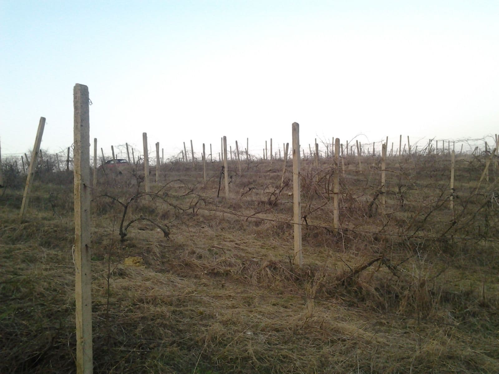 Prodej pozemku 11.975 m², Valtice, Jihomoravský kraj Prodej pozemku 11.975 m², Valtice, Jihomoravský kraj