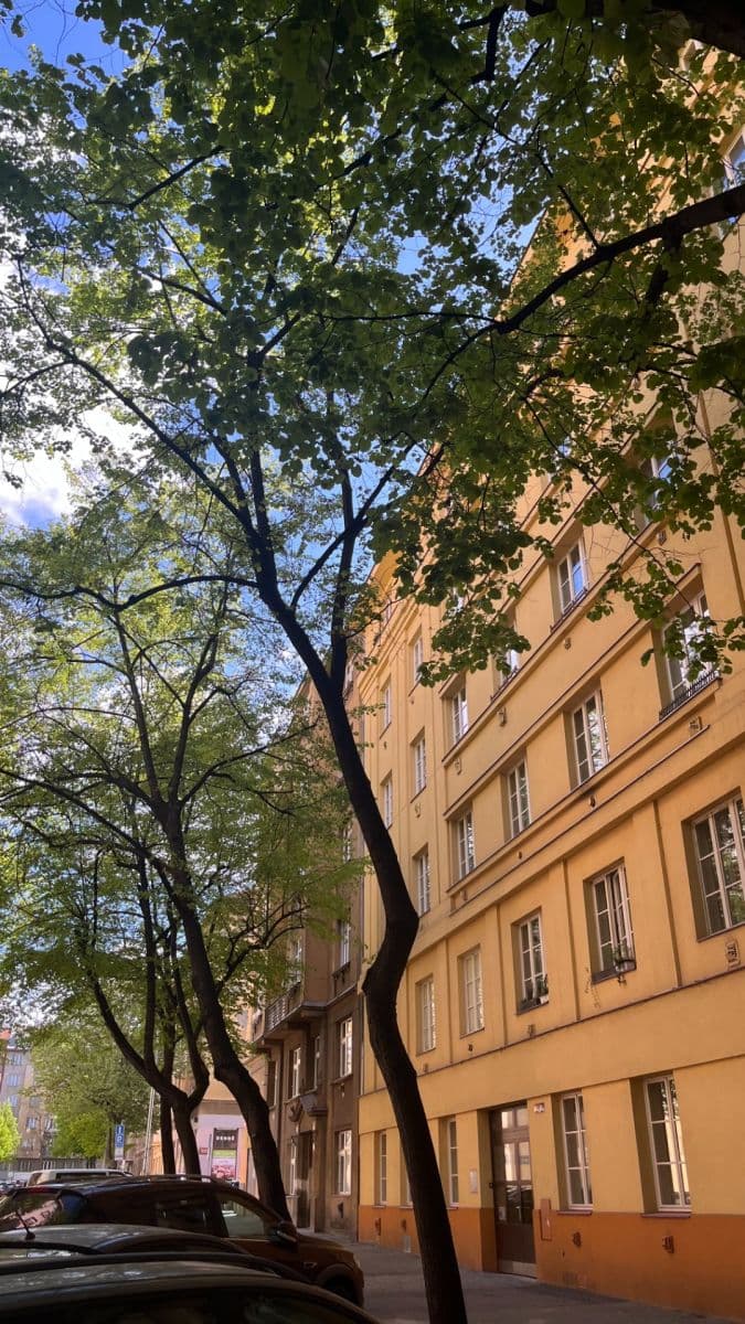 Pronájem bytu 2+1 64 m², Žerotínova, Praha, Praha Pronájem bytu 2+1 64 m², Žerotínova, Praha, Praha