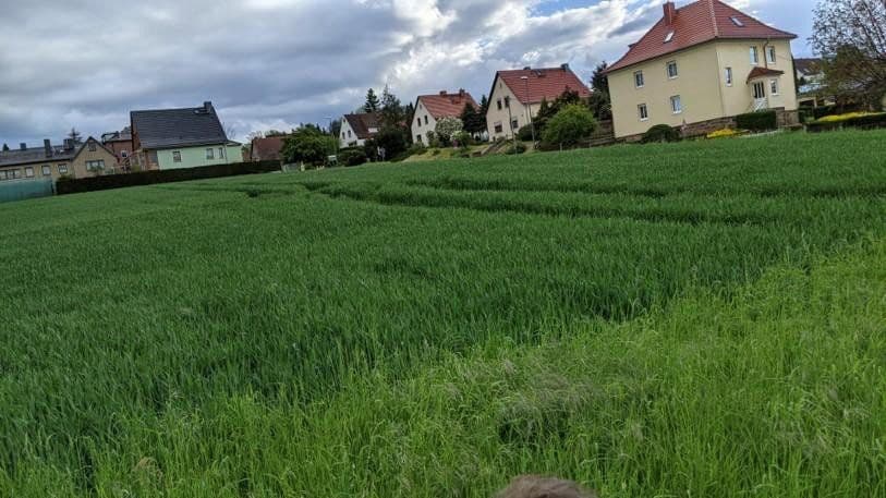 Prodej pozemku 1.350 m², Am Berg 5, Dresden, Sasko Prodej pozemku 1.350 m², Am Berg 5, Dresden, Sasko