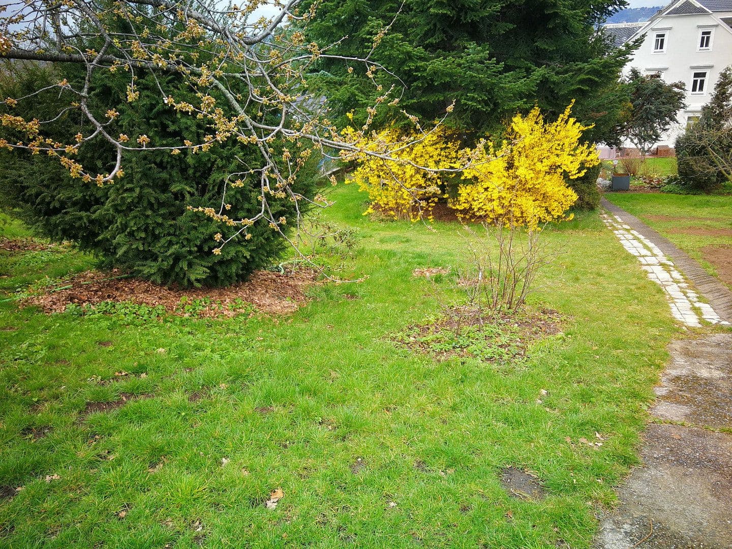 Prodej pozemku 1.350 m², Am Berg 5, Dresden, Sasko Prodej pozemku 1.350 m², Am Berg 5, Dresden, Sasko